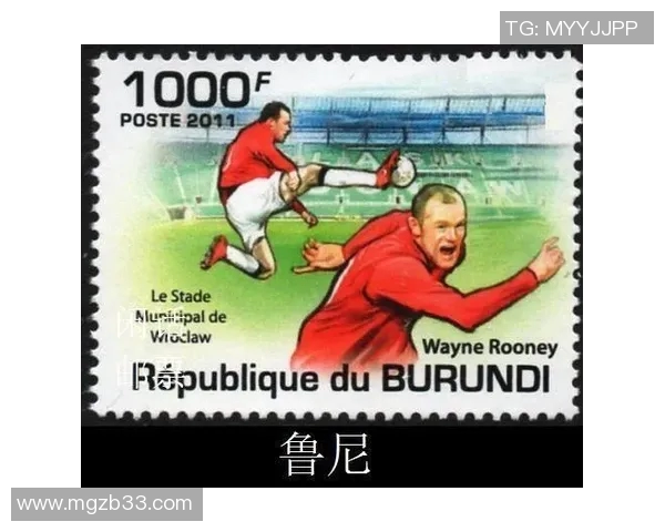 小胖足球明星的成长历程与辉煌成就揭秘